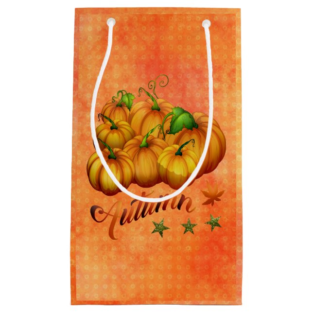 Petit Sac Cadeau Citrouille orange (Devant)