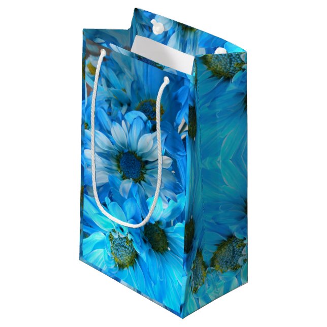 Petit Sac Cadeau Collaert (Devant Angle)