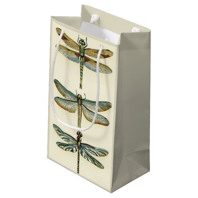 Petit Sac Cadeau Collection de libellules par Chariklia Zarris (Dos Angle)