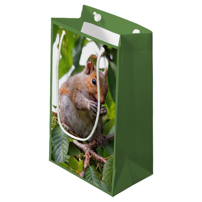 Petit Sac Cadeau Cuite Cerise cueillir Écureuil gris (Devant Angle)