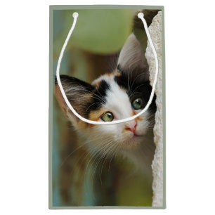 Petit Sac Cadeau Cute Curieux Chat Kitten Prying Eyes Portrait