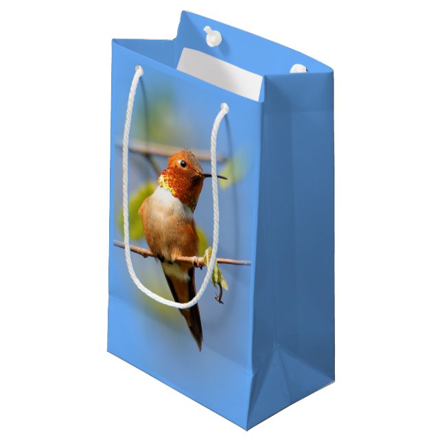 Petit Sac Cadeau Étonnant colibri roux au soleil (Devant Angle)