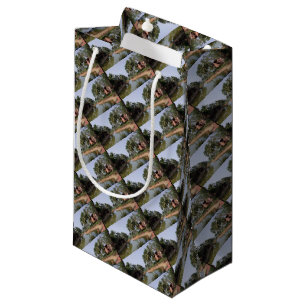 Petit Sac Cadeau Goa Inde
