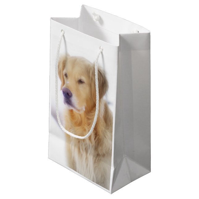 Petit Sac Cadeau Golden retriever dans la neige (Devant Angle)