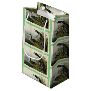 Petit Sac Cadeau Grande plongeur du Nord Loon Audubon Oiseaux d'Amé