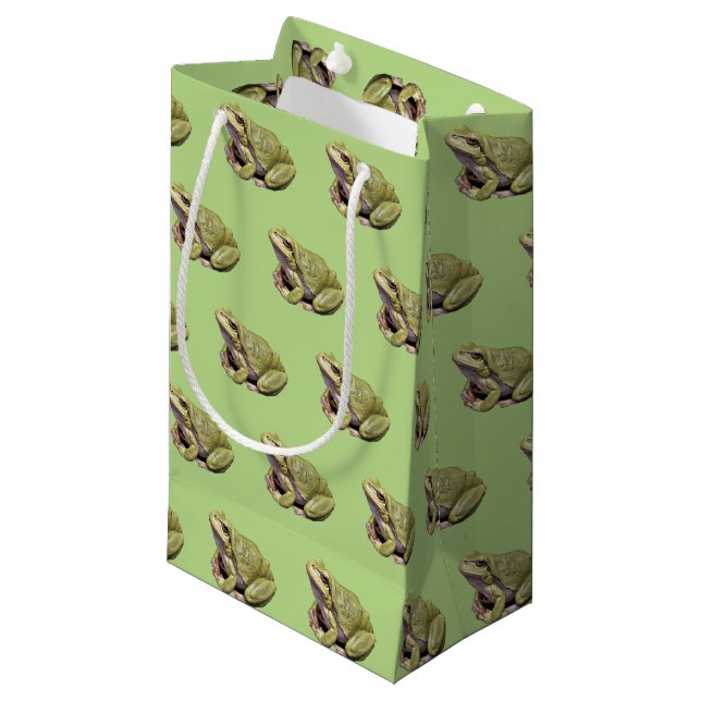 Petit Sac Cadeau Grenouille verte (Devant Angle)