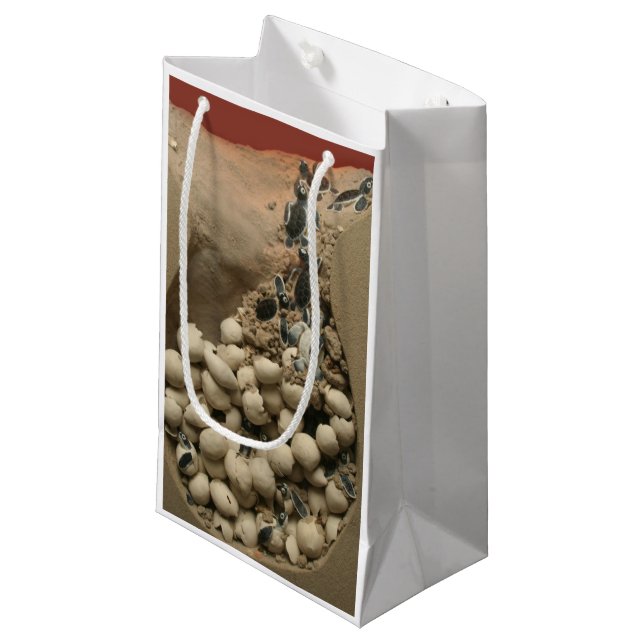 Petit Sac Cadeau Hachure d'oeufs de tortue de bébé (Devant Angle)