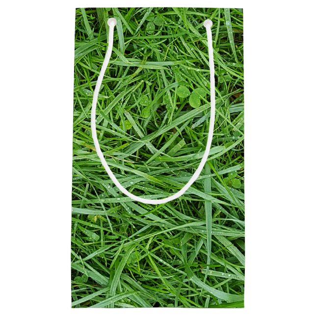 Petit Sac Cadeau Herbe verte (Devant)