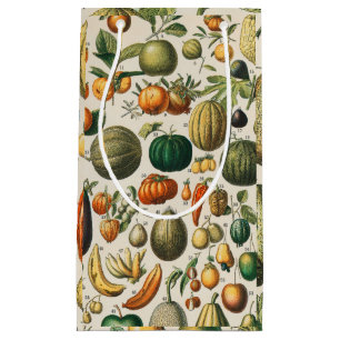 Petit Sac Cadeau Illustration scientifique végétale des fruits