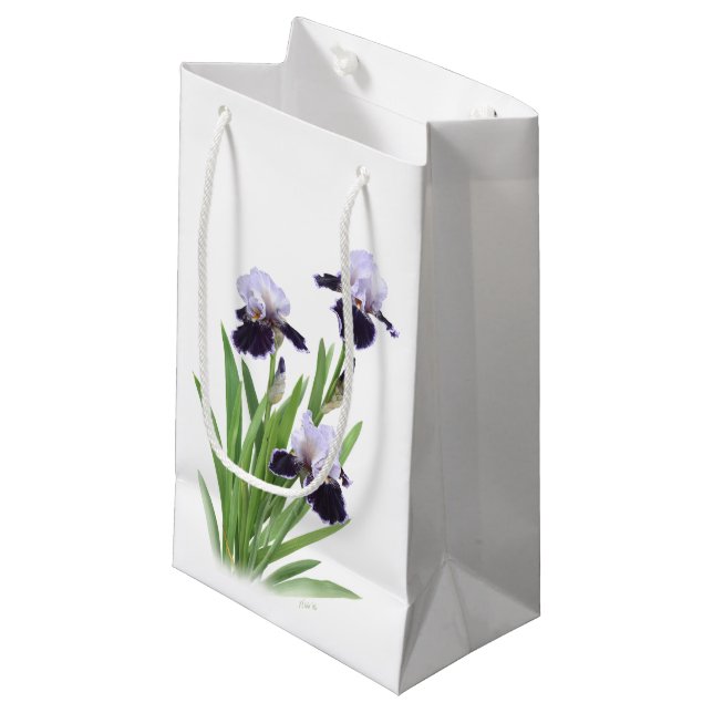 Petit Sac Cadeau Iris Trio (Devant Angle)