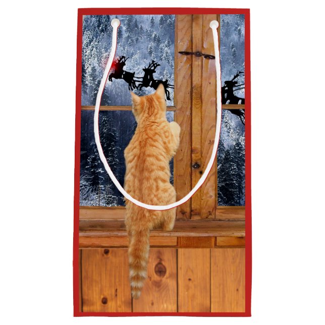 Petit Sac Cadeau Jour de Noël au chat tabby orange (Devant)
