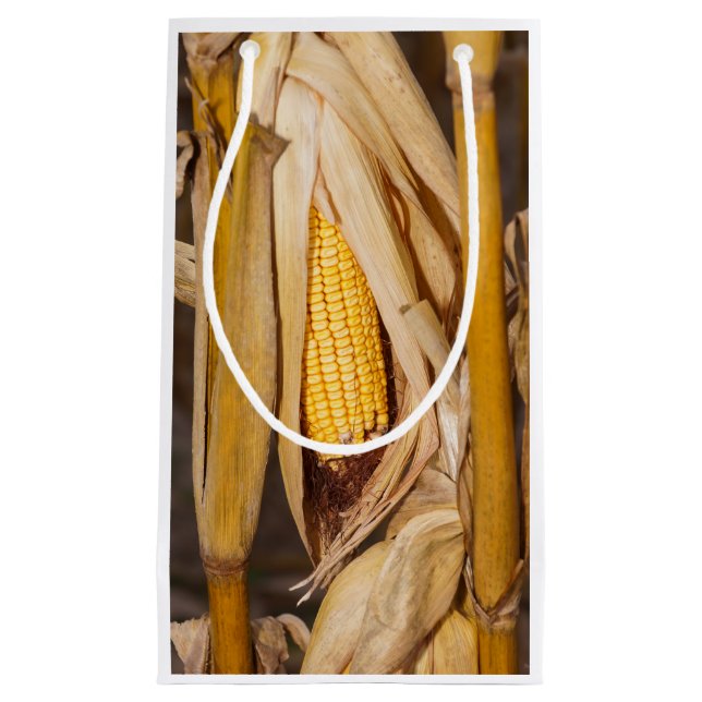 Petit Sac Cadeau Maïs Cobb sur la tige (Devant)