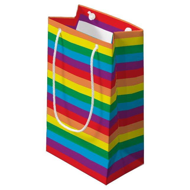 Petit Sac Cadeau Motif arc-en-ciel simple (Devant Angle)