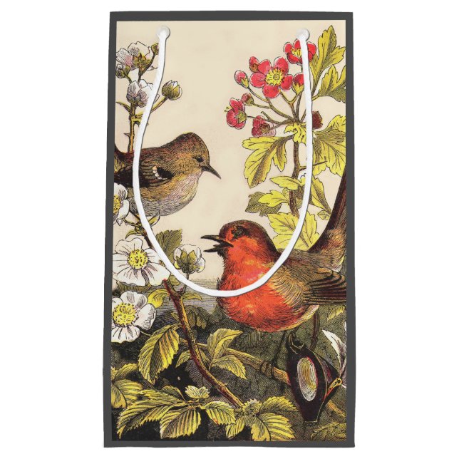 Petit Sac Cadeau Oiseaux de printemps Robin Oiseaux rouges (Devant)