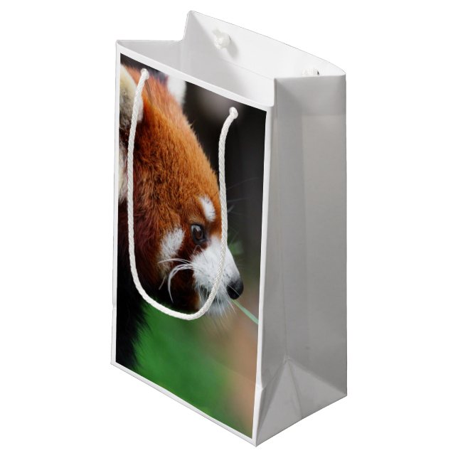 Petit Sac Cadeau Panda rouge (Devant Angle)
