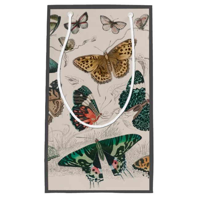 Petit Sac Cadeau Papillons Collection Antique Papillons (Devant)