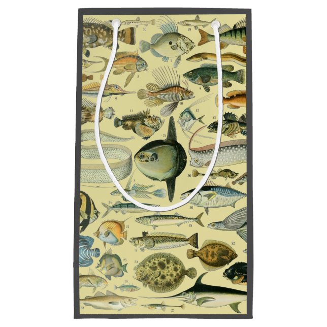 Petit Sac Cadeau Pêche scientifique vintage (Devant)