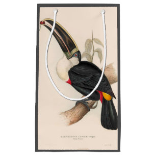Petit Sac Cadeau Peinture animalière d'antiquités Toucans