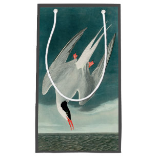 Petit Sac Cadeau Peinture de la faune de la sterne de l'Arctique Au