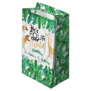 Petit Sac Cadeau Quatre Dinosaures Sauvages Boys 4e anniversaire