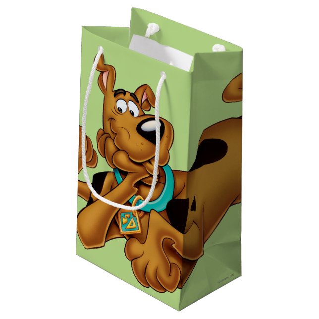 Petit Sac Cadeau Scooby Doo Allongé (Dos Angle)