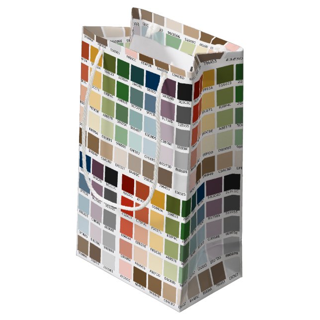 Petit Sac Cadeau Test de couleur (Dos Angle)