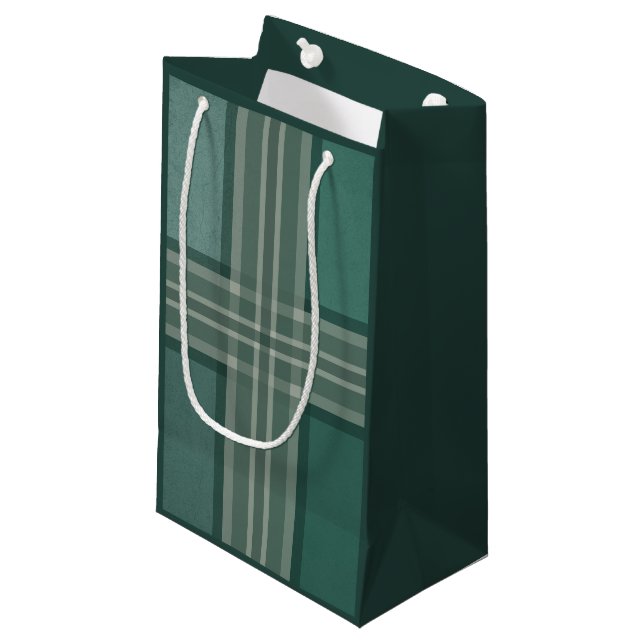Petit Sac Cadeau Tons verts (Devant Angle)