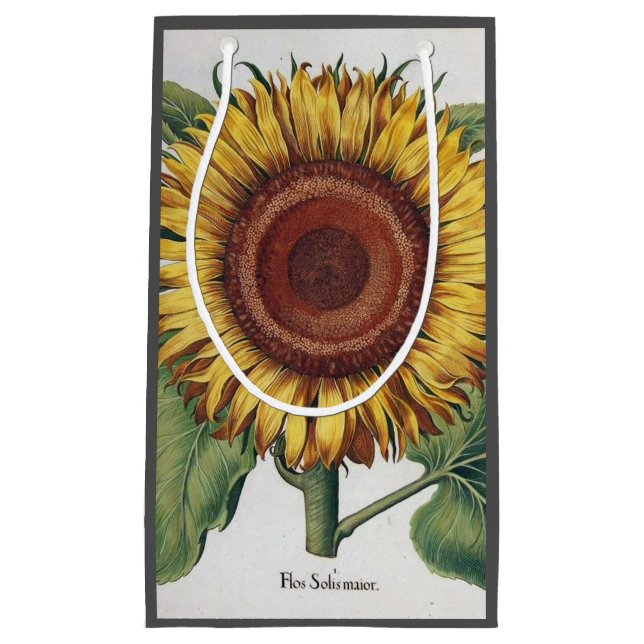 Petit Sac Cadeau Tournesol Vintage Damas Fleur Art (Devant)
