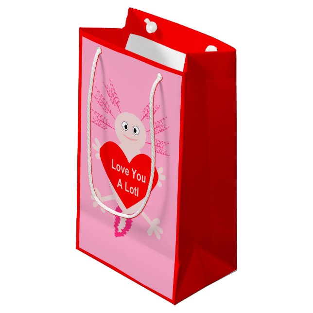 Petit Sac Cadeau Valentines Jour Amour Coeur Axolotl (Devant Angle)