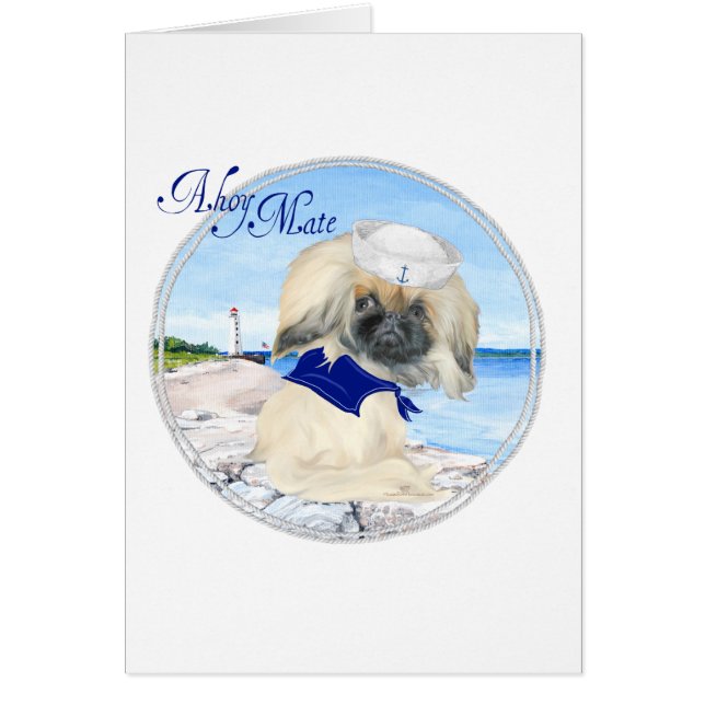 Petit Sailor (Devant)