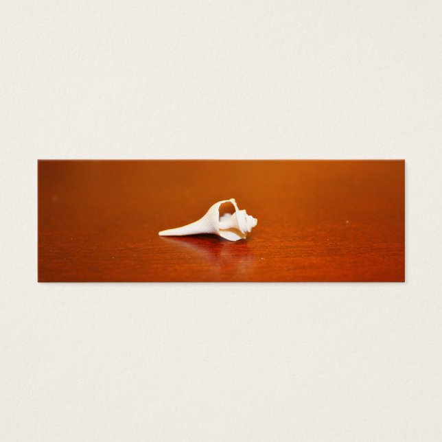 Petit Signet Shell (Devant)