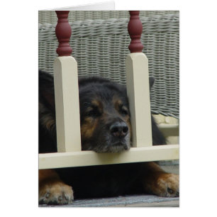 Petit somme paresseux d'après-midi