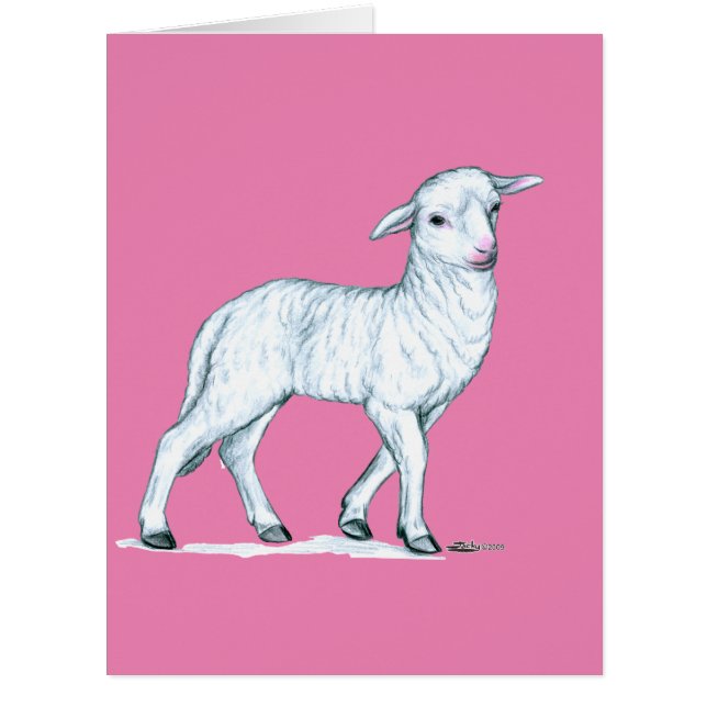 Petit White Lamb (Devant)