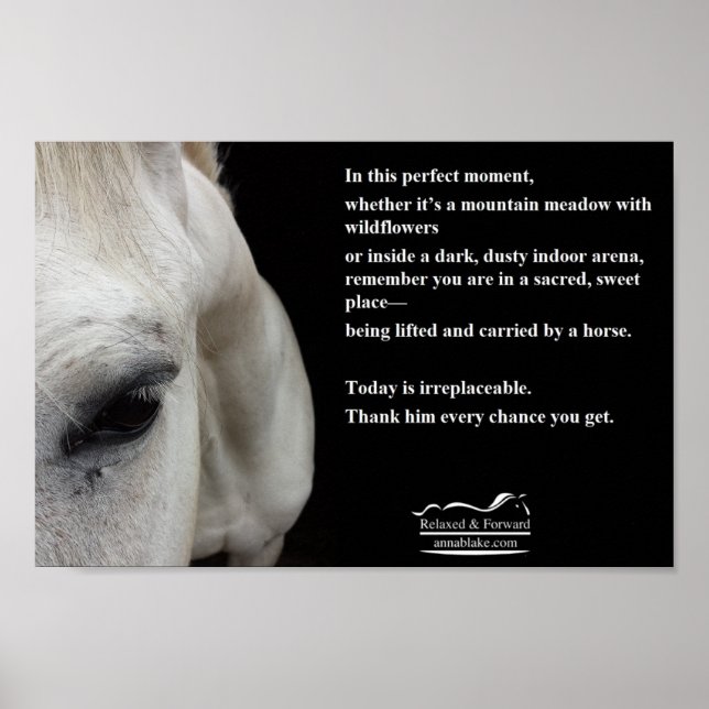 Petite affiche avec un cheval blanc et une citatio (Devant)