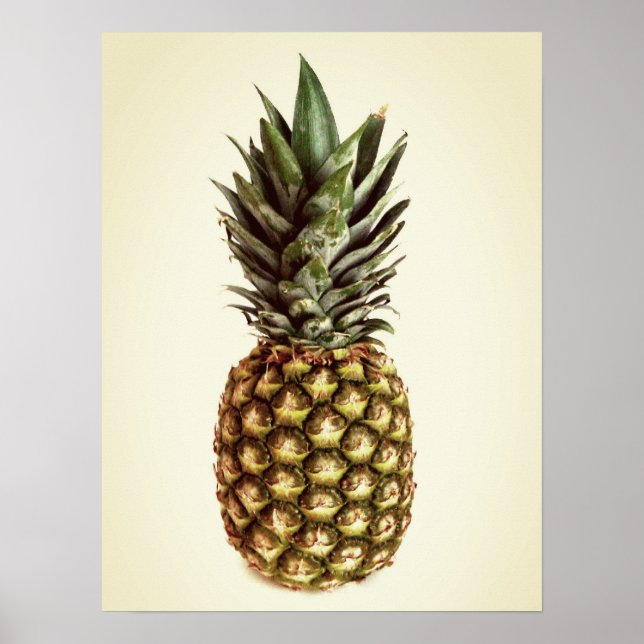 Petite affiche photo vintage pour ananas (Devant)