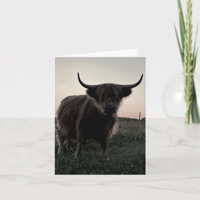 Petite carte blanche pliée de vache Highland de 4  (Devant)