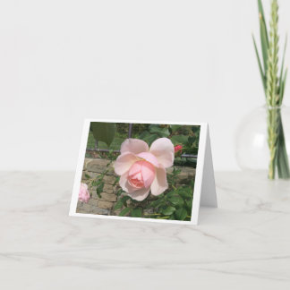 Petite carte de voeux pliée de 4 po x 5,6 po