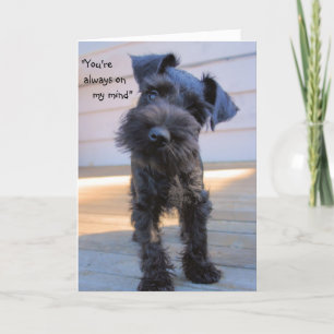 Petite carte de voeux pour marionnettes Schnauzer 