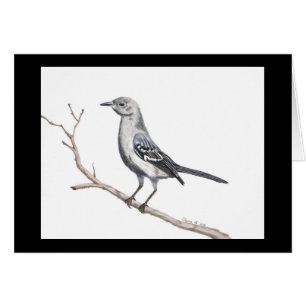 Petite carte Texas Mockingbird