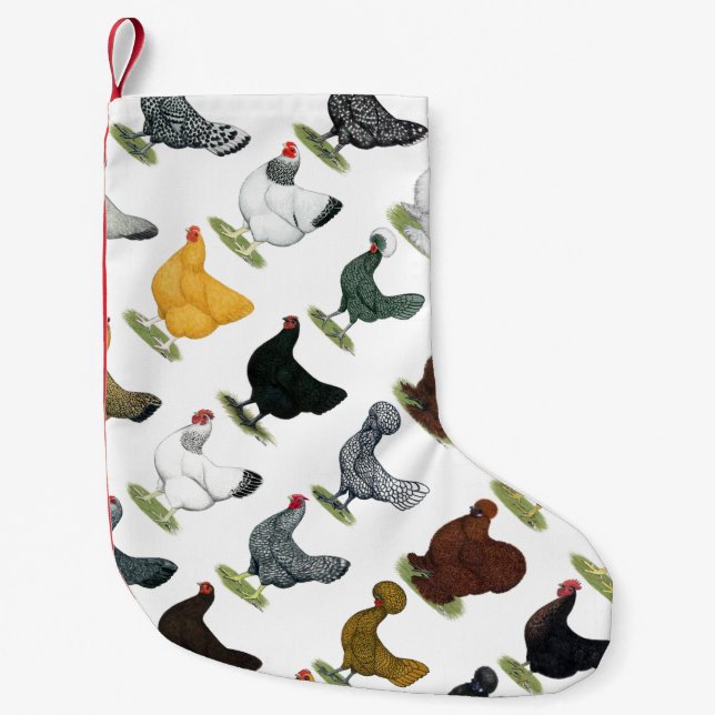 Petite Chaussette De Noël 49 poules de poulet (Devant)