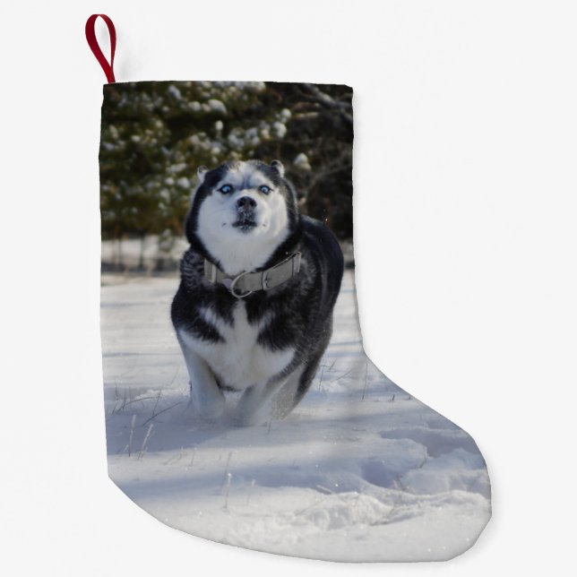 Petite Chaussette De Noël Accuser à travers le stockage de Noël Husky (Devant)