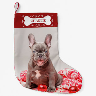 Petite Chaussette De Noël Adorable Photo Personnalisé Chien de Compagnie