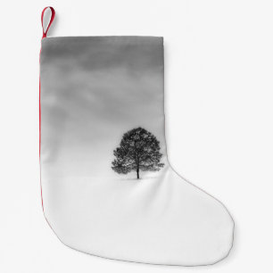 PETITE CHAUSSETTE DE NOËL AIMEZ LA SIMPLICITÉ DE LA PHOTOGRAPHIE HIVER C'EST