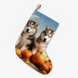 Petite Chaussette De Noël Alaskan Malamute Chiot Automne Citrouille délice