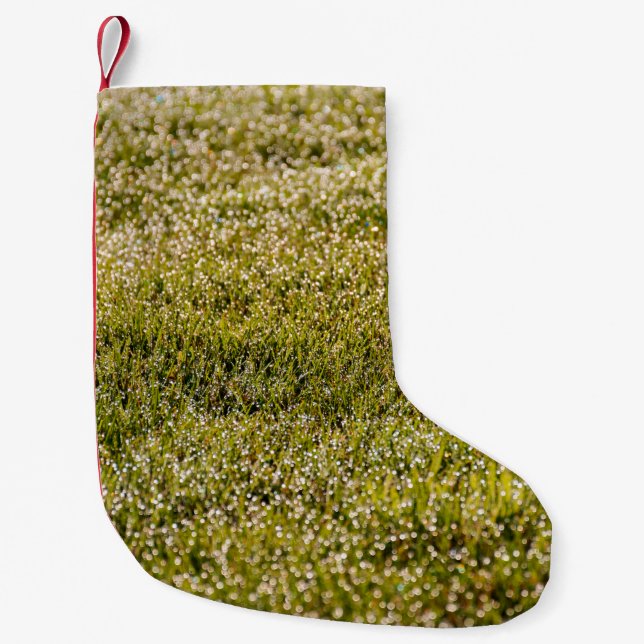 Petite Chaussette De Noël Arrière - plan d'herbe fraîche vert printemps, ave (Devant)