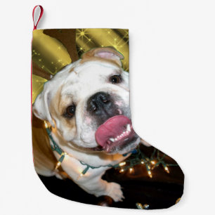 Petite Chaussette De Noël Bas anglais de Noël de bouledogue