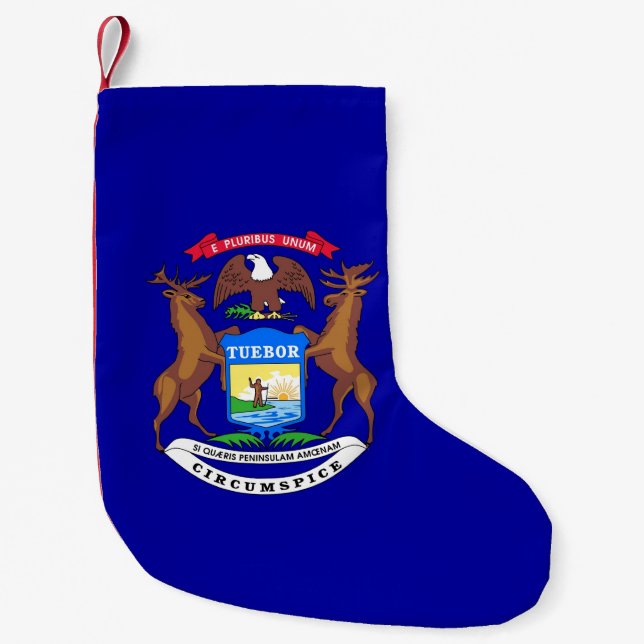 Petite Chaussette De Noël Bas de Noël avec drapeau du Michigan (Devant)