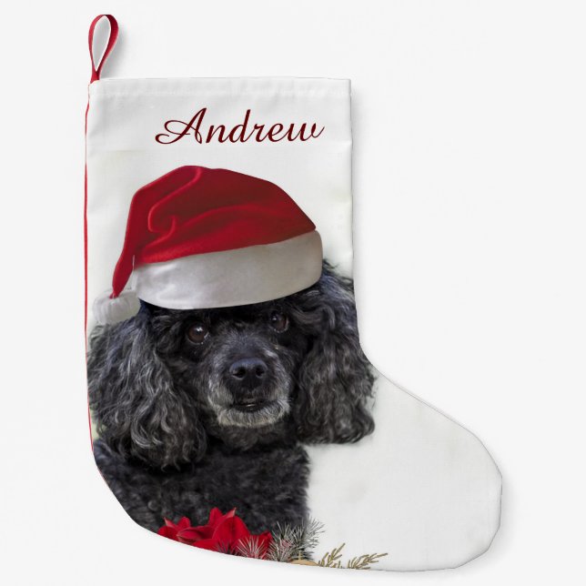 Petite Chaussette De Noël Bas personnalisé de chien de caniche de Noël (Devant)