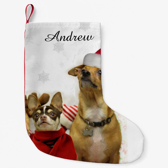 Petite Chaussette De Noël Bas personnalisé par chiens de chiwawa de Noël (Devant)