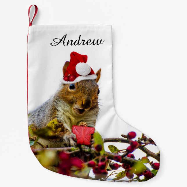 Petite Chaussette De Noël Bas personnalisé par écureuil de Noël (Devant)